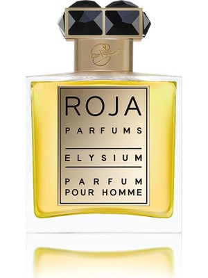 Roja Parfums Elysium Noir Pour Homme Eau De Parfum 100ML