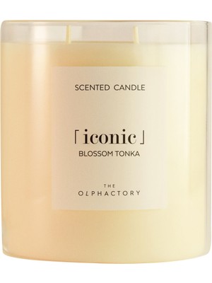 Iconic Blossom Tonka 1100G Mum
