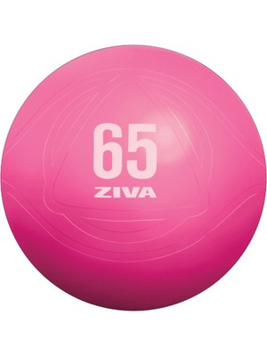 Ziva Fitness Patlamaya Karşı Dirençli Pembe 65 cm Pilates Topu