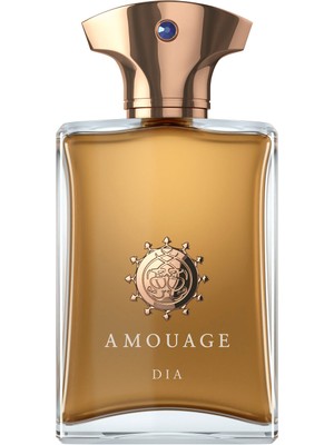 Amouage Dia Edp 100 ml Erkek Parfüm