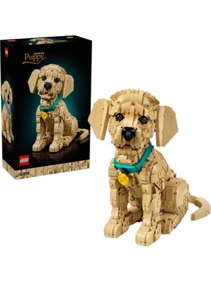 LEGO Icons Yavru Golden Retriever Hayvan Figürü 2102 Parça 18+ Yaş Yapı Oyuncağı 11384
