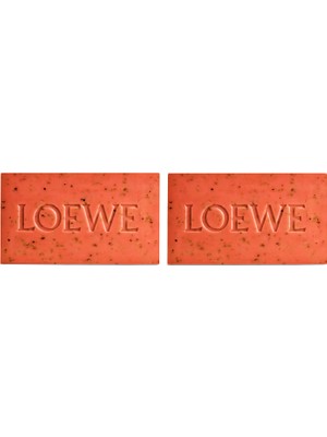 Loewe Tomato Leaves 2li Sabun Seti