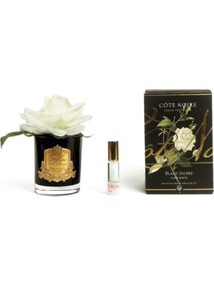 Cote Noire Beyaz Gold Tek Güllü Oda Kokusu