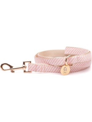 Gliparis Segovia Pembe Köpek Gezdirme Kayışı