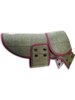 Mind The Mod Scotch Pulse Moorland Yeşil Mor Köpek Ceketi