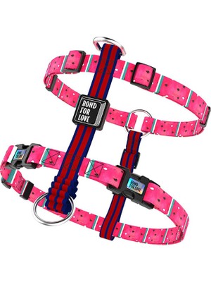 Spacedogs Ispet Karpuz Spider Model Köpek Tasması