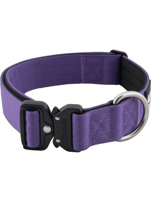 Alphagrip Lite Mor Köpek Boyun Tasması