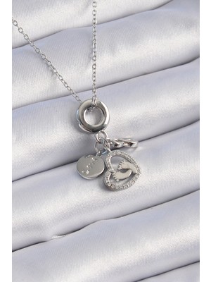 Aesco 316L Çelik Gümüş Renk Zirkon Taş Detay Kalp Model Charm Kadın Kolye TJ-BKO9305