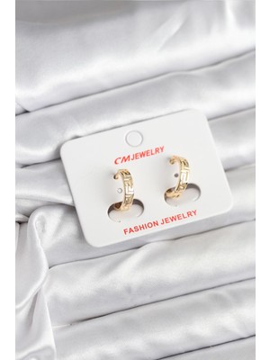 Aesco 14K Gold Renk Kaplama cm Kadın Küpe TJ-BKP11405