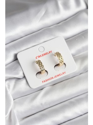 Aesco 14K Gold Renk Kaplama cm Kadın Küpe TJ-BKP11416