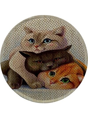 Maison Luré Çift Taraflı Desenli Kedi Tırmalama Paspası, 36 cm Boyutunda Kedi Tırmalaması