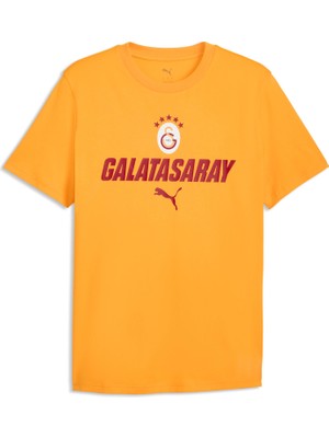 Puma Galatasaray Ftblculture Erkek Tişört