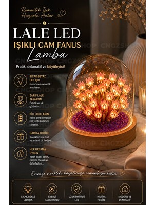 Maison Luré Romantik Cam Fanus Lale LED Işıklı Masa Lambası Masa ve Gece Lambası