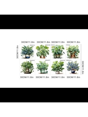 Mona Store Tropikal Bitkiler Duvar Stickerı Model A