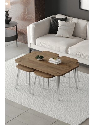 Emideco Zigon ve Orta Sehpa 5'li Takım , Metal Ayaklı , Roma 4+1 Sehpa , Gümüş Metal - Atlantik Çam Tabla