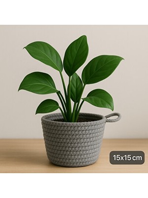 Velmora Dekoratif Çok Amaçlı 15X15 cm , Bitki ve Eşyalar Için | Sepet