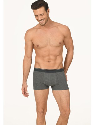 NBB Antrasit Thin Line Boxer