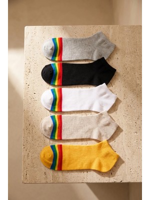 Bony Socks Erkek Renkli Çizgili 5'li Patik Çorap