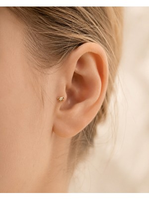 Sarezza Gold 14 Ayar Altın Kırlangıç Model Taş Detaylı Tragus Piercing Küpe