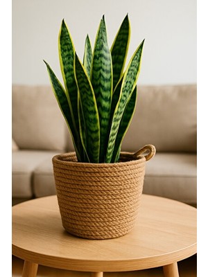 Lusenne Sepet: Dekoratif Çok Amaçlı Organizer Sepeti - 15X15 cm