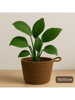 Lusenne Sepet: Dekoratif Çok Amaçlı Organizer , 15X15 Cm, Bitki Dâhil Değil