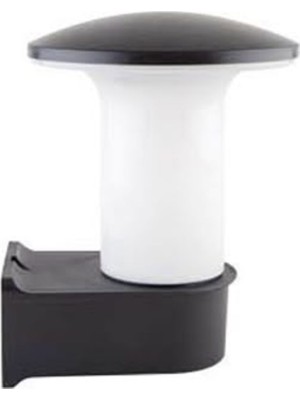 Has Light Mantar Aplik Bahçe Aydınlatma 28 cm