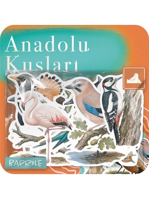 Baprile Anadolu Kuşları 25 Adet Sticker Paketi Suya Dayanıklı Laptop Termos Telefon Etiket Seti