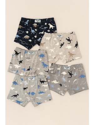 Bony Socks Erkek Çocuk 5'li Dinozor Desenli Boxer