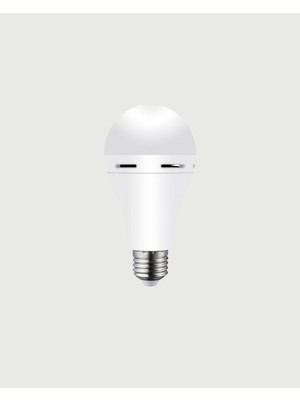 Ematcrt Acil Durumlar Için Şarjlı LED Ampul 6400K Soğuk Beyaz 30 Watt Yeni Nesil - Lisinya