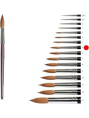Bezos Fırçası 5 Numara