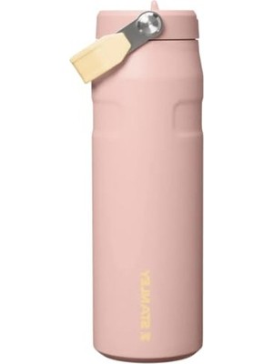 Frefly Store Pipetli Termos Bardak, 0.7l Kapasiteli Şeftali Gülü