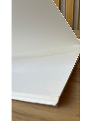 Frefly Store 30 x 45 cm Boyutunda Metalize Hediye Paketi, 100 Adet