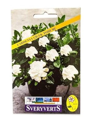 Frefly Store Gardenya Çiçeği Tohumu
