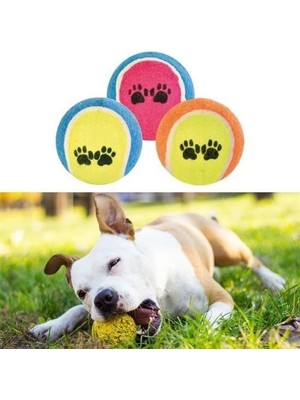 Frefly Store 3lü Renkli Desenli Tenis Topu Kedi Köpek Oyuncağı