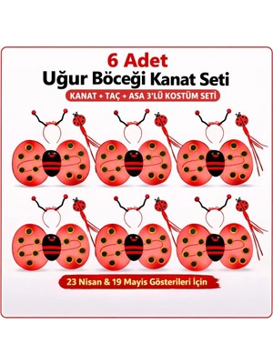Mudanis 639LI Uğur Böceği Kostüm Seti – Kanat Taç Asa