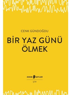 Edebi Şeyler Bir Yaz Günü Ölmek