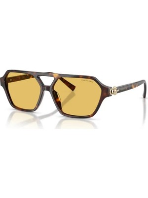 Tiffany&Co. Tıffany&co. 4264U 801585 58 Unisex Güneş Gözlük