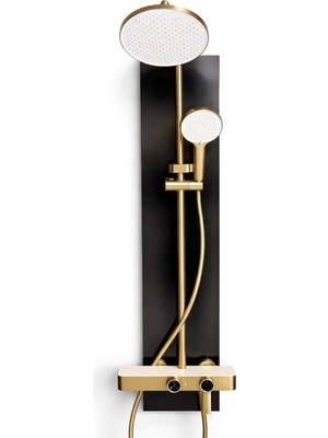 Filia Yapı Gemini Mat Gold Duş Seti