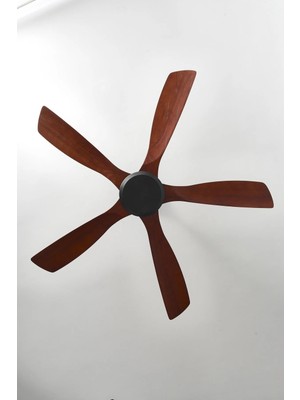 Homeland Akıllı Tavan Vantilatörü 52 Inc 132 cm Uzaktan Kumandalı Sessiz Motor Dcı