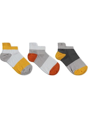 Civil Boys Basic Clours 3'lü 2-12 Yaş Erkek Çocuk Patik Çorap - Standart