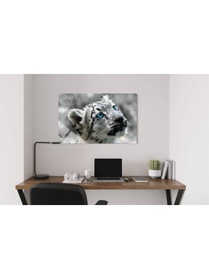 Baskı Perisi Kar Leoparı Cam Tablo 205