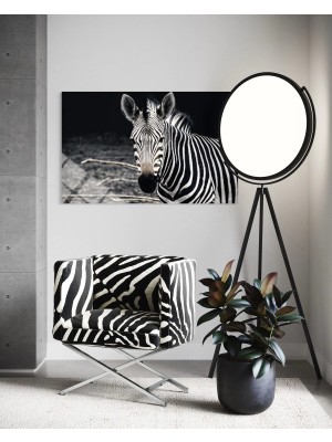 Baskı Perisi Zebra Cam Tablo 196
