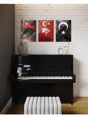 Baskı Perisi 3'lü Dekoratif Cam Tablo (105)