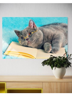 Baskı Perisi Kedi Cam Tablo 168