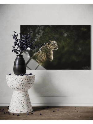 Baskı Perisi Leopar Cam Tablo 184