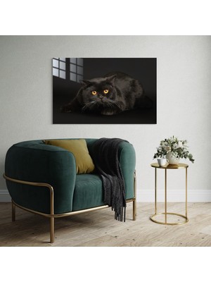 Baskı Perisi Kedi Cam Tablo 218