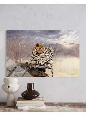 Baskı Perisi Leopar Cam Tablo 201