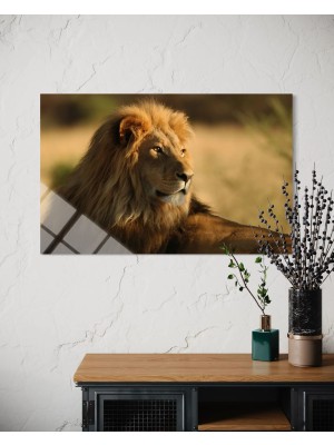 Baskı Perisi Aslan Cam Tablo 171