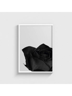 Domirus Black Rose Tablo Çerçeveli Poster Duvar Dekorasyonu