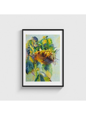 Domirus Ayçiçeği Tablosu Tablo Çerçeveli Poster Duvar Dekorasyonu